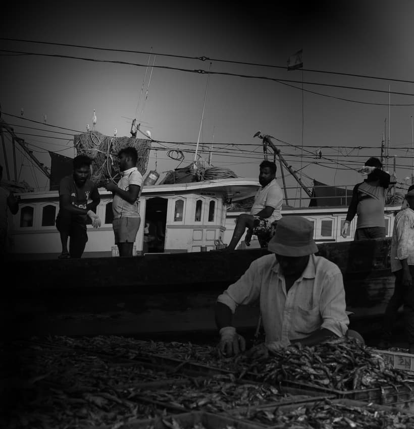 Asian Trade Integration Policy Brief: Tariff Reductions